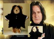 Cuddly Prof. Snape Teddy Bears_image